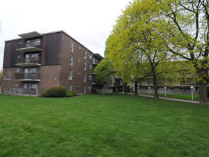 Rental Low-rise 50 Underhill Dr, North York, ON