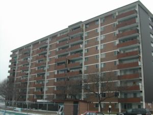 Rental Low-rise 3375 Ponytrail Dr, Mississauga, ON