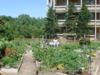 3+ Bedroom apartment for rent in HAMILTON 