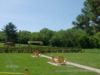 3+ Bedroom apartment for rent in HAMILTON 