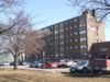 1 Bedroom apartment for rent in HAMILTON  