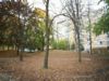 1 Bedroom apartment for rent in North York
