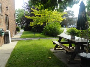 Image ViT 102794