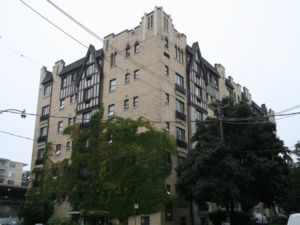 Image ViT 10384
