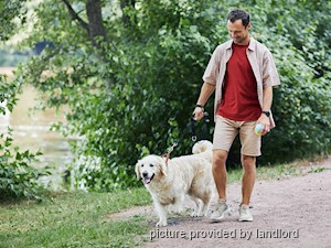 1 Bedroom apartment for rent in NORTH YORK 