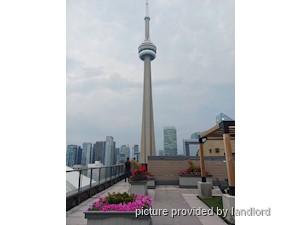 Image ViT 105736