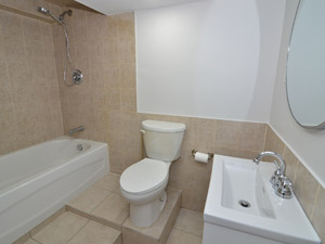 1 Bedroom apartment for rent in TORONTO