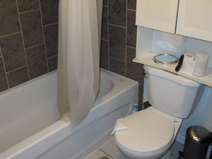 1 Bedroom apartment for rent in TORONTO 