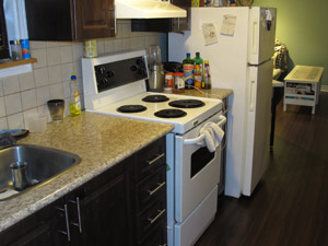 1 Bedroom apartment for rent in TORONTO 