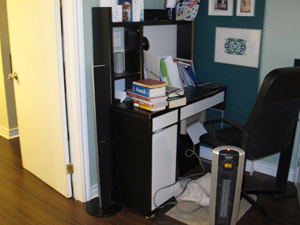 1 Bedroom apartment for rent in TORONTO 