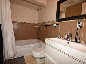 1 Bedroom apartment for rent in TORONTO