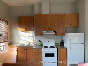 1 Bedroom apartment for rent in TORONTO  