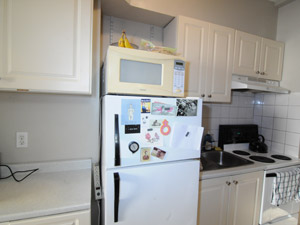 1 Bedroom apartment for rent in TORONTO 
