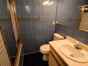 Bachelor apartment for rent in TORONTO