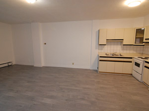 Bachelor apartment for rent in TORONTO