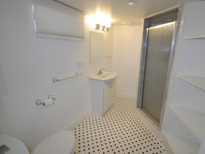 1 Bedroom apartment for rent in TORONTO 