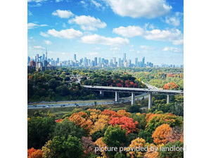 Image ViT 116168