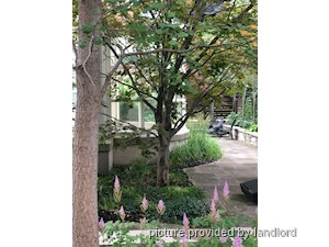 2 Bedroom apartment for rent in TORONTO 