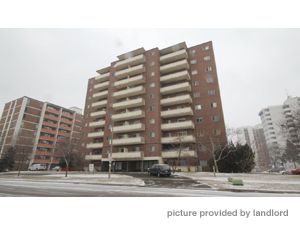 Image ViT 118498
