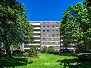 Image ViT 122499
