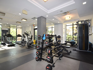 1 Bedroom apartment for rent in THORNHILL