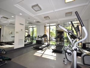 1 Bedroom apartment for rent in THORNHILL