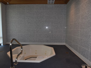 1 Bedroom apartment for rent in THORNHILL