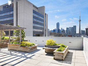 2 Bedroom apartment for rent in Toronto