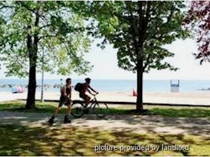 1 Bedroom apartment for rent in TORONTO   