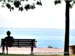 1 Bedroom apartment for rent in TORONTO   