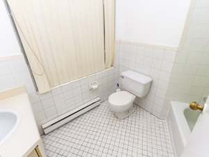 1 Bedroom apartment for rent in TORONTO  