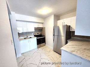 Image ViT 124964