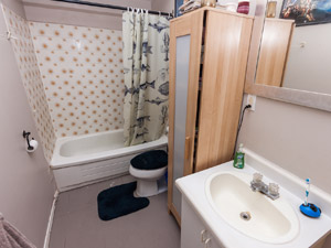 1 Bedroom apartment for rent in TORONTO 