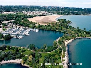 1 Bedroom apartment for rent in TORONTO