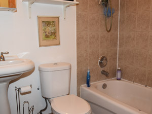 3+ Bedroom apartment for rent in TORONTO   