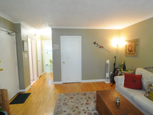 1 Bedroom apartment for rent in TORONTO 