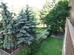 1 Bedroom apartment for rent in TORONTO   