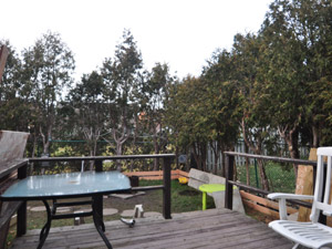 1 Bedroom apartment for rent in BRAMPTON  