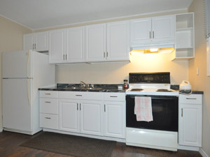 1 Bedroom apartment for rent in BRAMPTON  