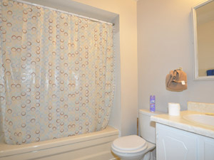 1 Bedroom apartment for rent in BRAMPTON  