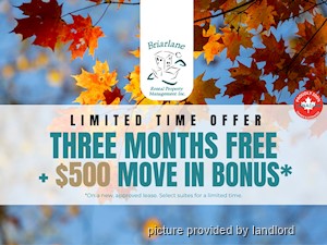 1 Bedroom apartment for rent in Toronto