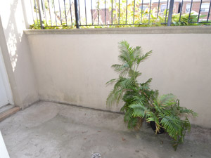 2 Bedroom apartment for rent in TORONTO