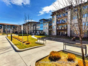 1 Bedroom apartment for rent in Mississauga  