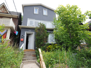 Image ViT 137645