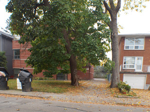 Bachelor apartment for rent in ETOBICOKE