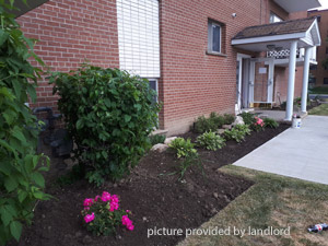 1 Bedroom apartment for rent in BRAMPTON 