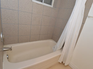 1 Bedroom apartment for rent in TORONTO