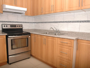 1 Bedroom apartment for rent in SCARBOROUGH 