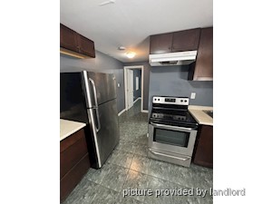 Image ViT 141834