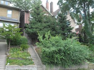 Rental House High Park-Bloor St West, Toronto, ON
